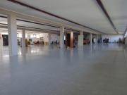 Industriale monolocale 780mq