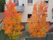 Industrie Charme Wohnung im Loft Stil mit Balkon zum...