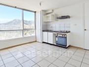 Inglaterra 1144 [228 1]