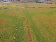Inland Drive 160.72 Acres Rm Sherwood