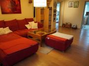 Inmitten des charmanten Wiener Neustadt Anemonen