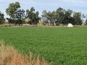 Inmobiliaria mendokey vende finca 50has en la dormida,...