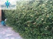 INMOHOUSE VENDE CASA INDEPENDIENTE CON PISCINA PROPIA...