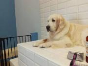 Inmueble en Alquiler en Alicante Alacant