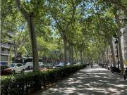 Inmueble en Alquiler en Barcelona