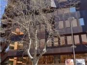 Inmueble en Alquiler en Barcelona