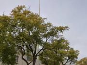 Inmueble en Alquiler en Elche Elx