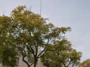 Inmueble en Alquiler en Elche Elx