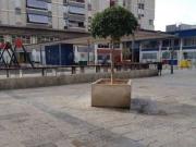 Inmueble en Alquiler en Elche Elx