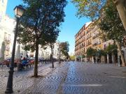 Inmueble en Alquiler en Madrid