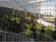 Inmueble en Alquiler en Madrid Inmueble en Alquiler en Madrid