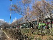 Inmueble en Alquiler en Sevilla