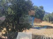 Terreno en Venta en Cantallops