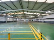 Inmueble en Venta en Erandio