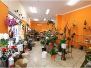 Inmueble en Venta en Motril