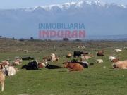 Inmueble en Venta en Navalmoral de la Mata