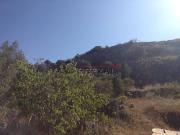 Actividad/Licencia en Venta en Torrox