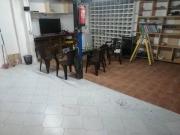 Inmueble en Venta en Zamora