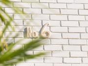 Inner city home or investment