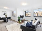 Inner City Sanctuary!