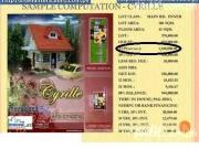 Innovaland east residences pre selling house and lot