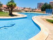 INV SUR JARDINES CANARIOS LOS CRISTIANOS