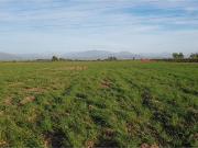 Inversión Agrícola en el Corazón de Molina, Chile