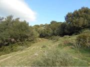 ¡INVERSIÓN! FINCA RUSTICA EN TARIFA
