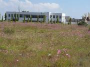 ¡Inversión inteligente! Finca de 12 has en Almoloya