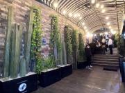 ¡INVERSIONISTAS! VENTA DE LOCAL COMERCIAL RENTADO EN...