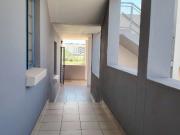 Invest in a 1 Bedroom Apartment in Lilyfield