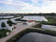 Investimento em terreno para exploração aquícola