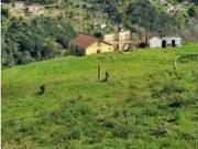 INVESTIMENTO IMPERDÍVEL NO DOURO! Propriedade Única com...