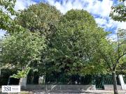 Investition in Zukunft, Familie und Lebensqualität Ihr...