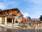 Investitionen in die Berge