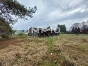 Investment Highlight Zinshaus: Soll Rendite 8 10% Ausbau...