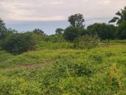 Investment Opportunity: Agricultural Land in San Juan,...