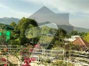 Investor Alert 1000 sqyd F7 Best Location House 100x90...