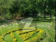 Investor Alert F7 Size 666 Square Yead New House with...