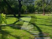 Investor Alert F8 Size 100160 1 Square Yead Fully...