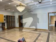 Investor Alert F8 Size 100160 1 Square Yead Fully...