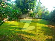 Investor Price Old House Is For SALE In F 6
