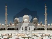 INVESTOR Price Plot For Sale