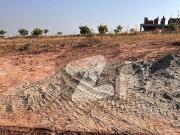 Investor price plot in sector a