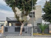 Investor Rate Elegant Basement House