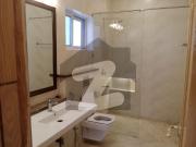 Investor Rate House Is For SALE F 8
