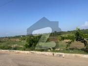 Investor Rate Kanal Pair Available In Outclass Location