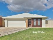 Investor's Delight Modern Home with Side Access