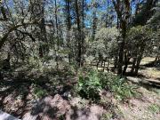 Invierte con Sentido: Naturaleza, Rentabilidad y...