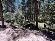 Invierte Donde Tu Patrimonio Florece Terrenos en venta Invierte Donde Tu Patrimonio Florece Terrenos en venta